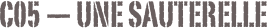 C05 — Une sauterelle