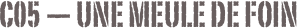 C05 — Une meule de foin
